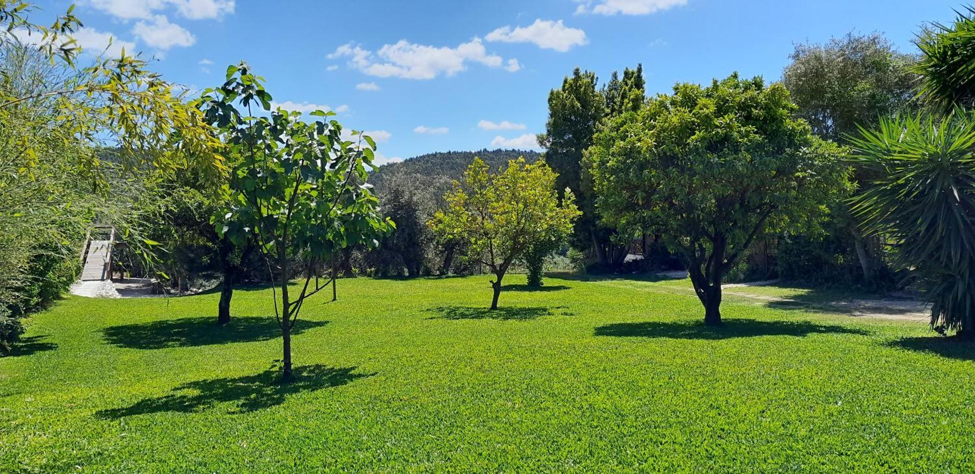 Villa Quinta Do Benjamim - Tejo "Experience For 2, Family Or Relax" à Praia do Ribatejo Extérieur photo